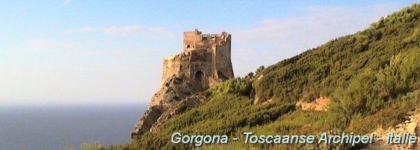 Gorgona - Toscaanse Archipel - Italie